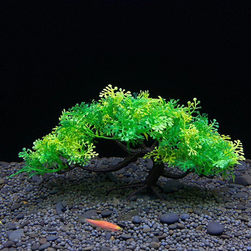 Arbre bonsaï d'aquarium, plant - Aquarium Planted Seeds avis et prix