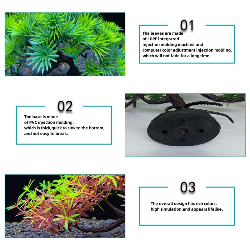 Arbre bonsaï d'aquarium, plant - Aquarium Planted Seeds avis et prix