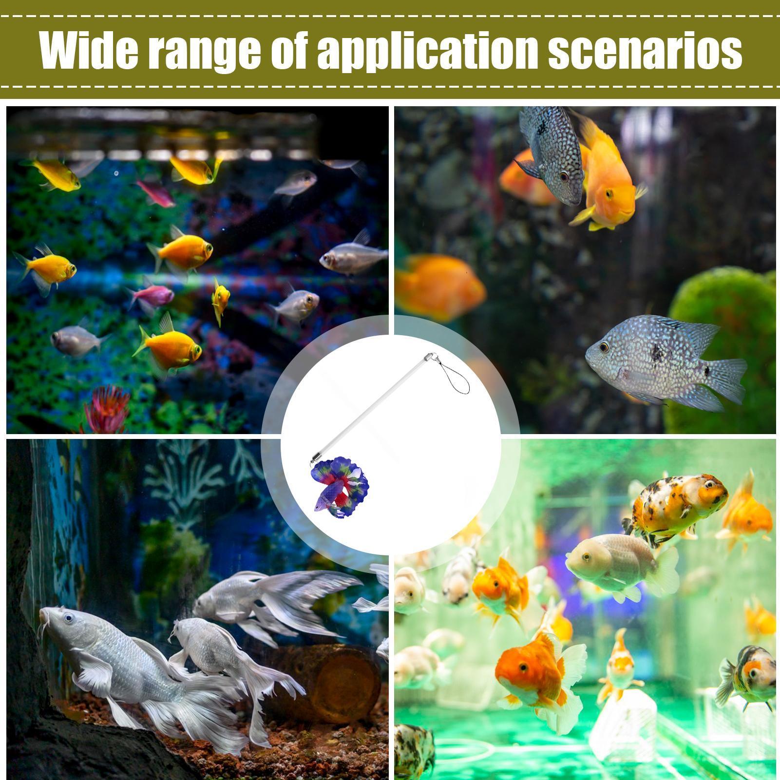 Bâton d'entraînement pour pois - Planted Aquarium For Beginners avis et prix