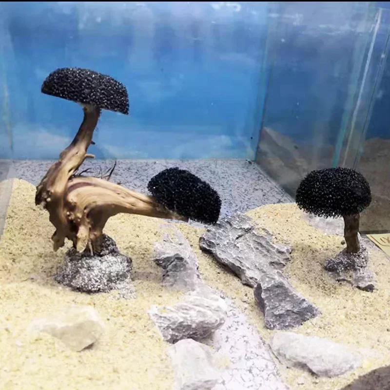 Plante de décoration d'aquariu - Planted Aquarium Without Fish avis et prix