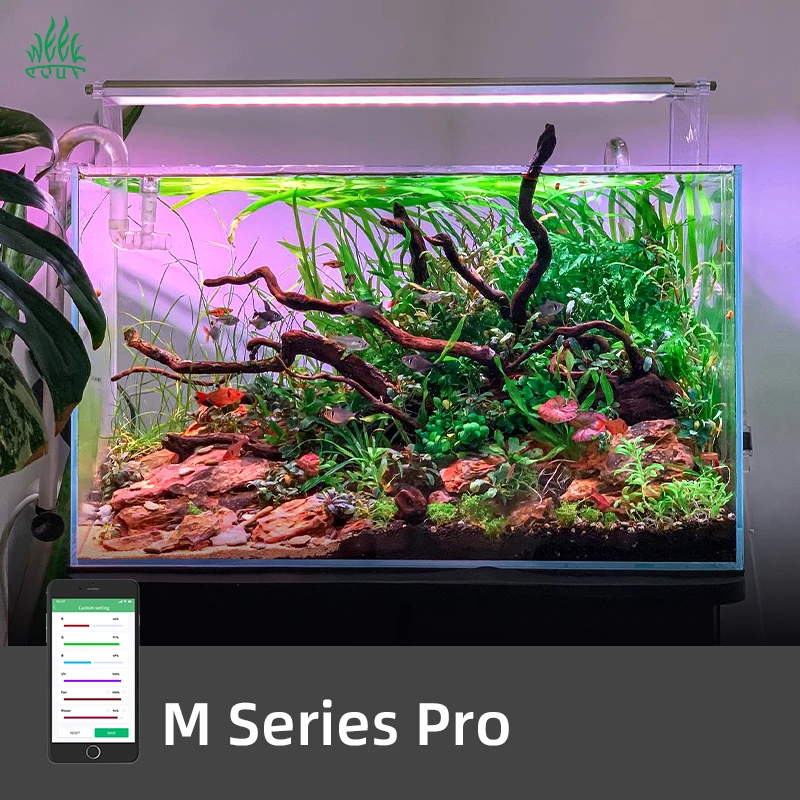 Lampe LED intelligente ZXY WEE - Aquarium Plants For Sale avis et prix