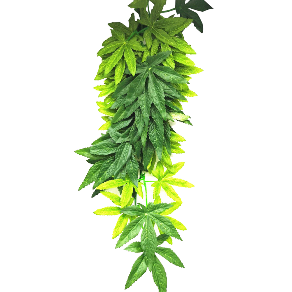 Offre spéciale 30/40/50CM Aqua - Aquarium Plants For Sale avis et prix