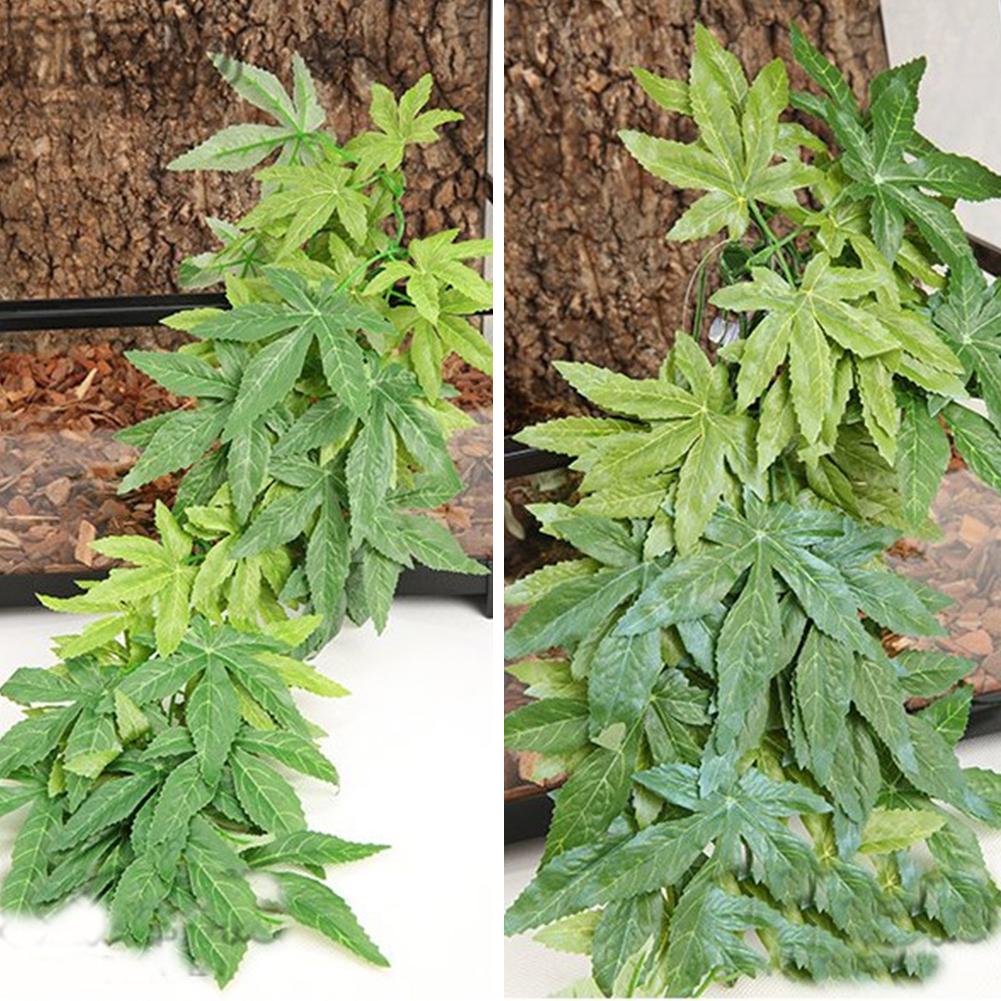 Offre spéciale 30/40/50CM Aqua - Aquarium Plants For Sale avis et prix