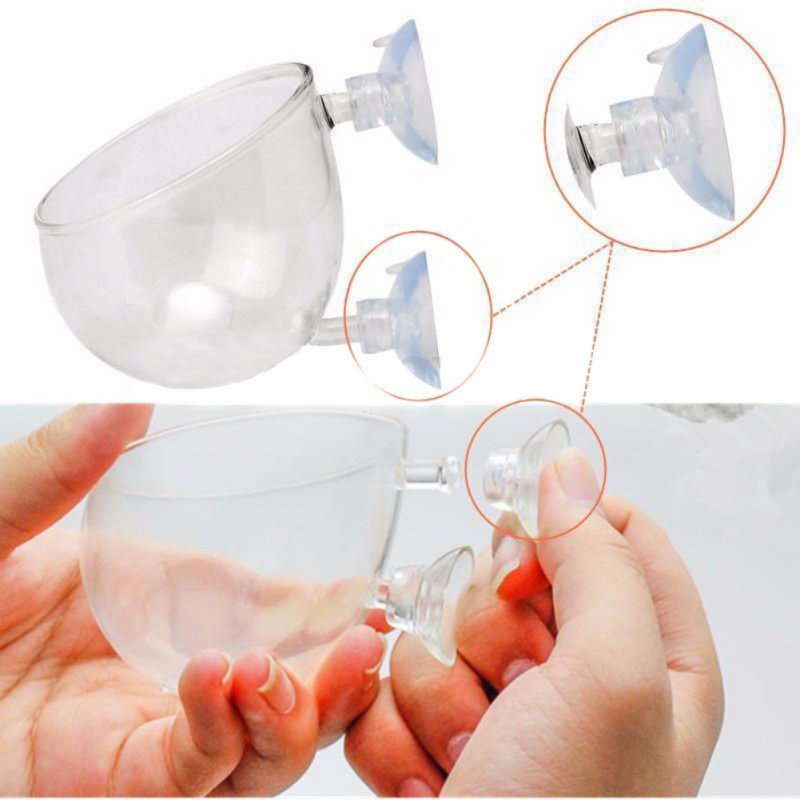 Tasse à intervalles en verre a - Aquarium Planted Seeds avis et prix