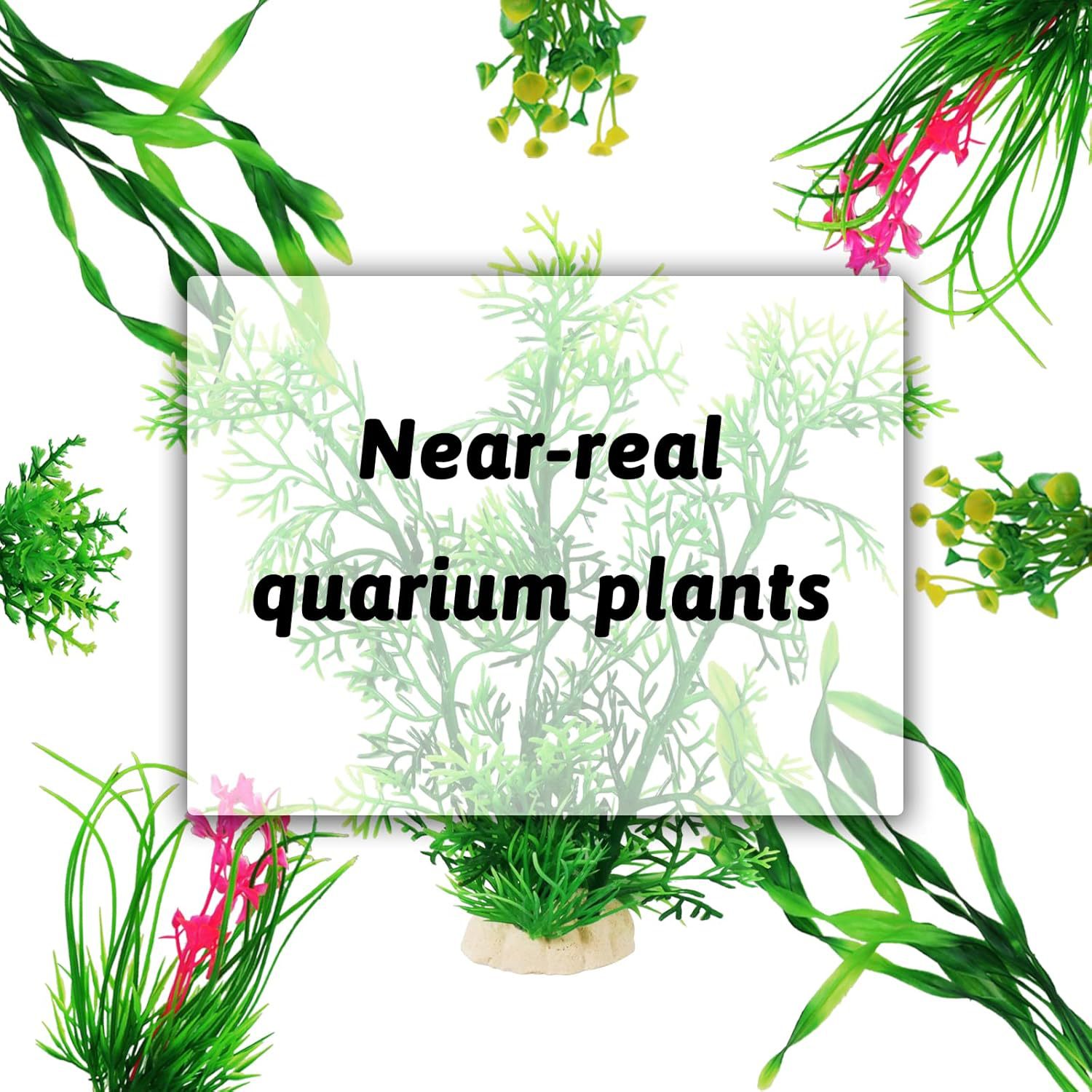 Ensemble de plantes artificiel - Planted Aquarium For Beginners avis et prix