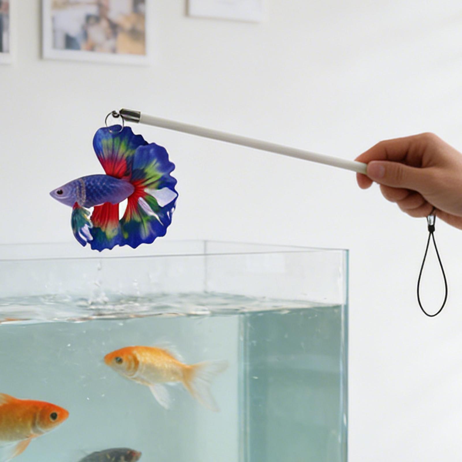 Bâton d'entraînement pour pois - Planted Aquarium For Beginners avis et prix